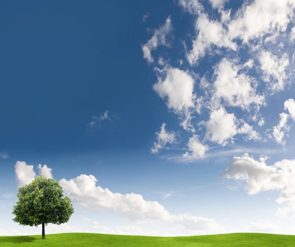 プロフィール背景画像