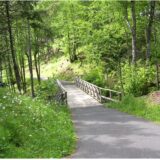 【実例】動きたいのに動けない｜訪問サービスをきっかけに生活を再構築した40代女性