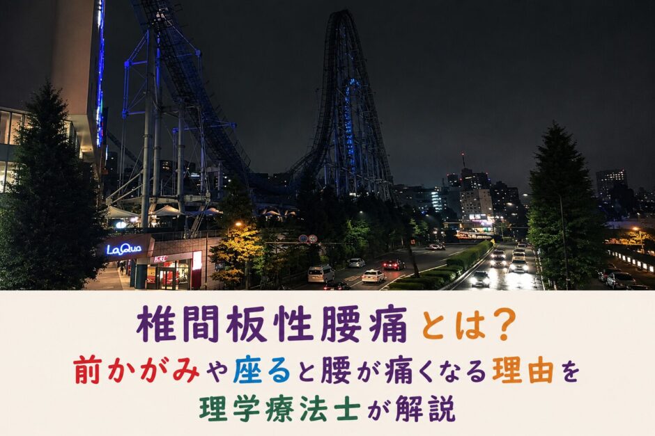 椎間板性腰痛とは？前かがみや座ると腰が痛くなる理由を理学療法士が解説